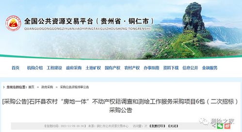 關(guān)于1980萬(wàn)元農(nóng)村房地一體不動(dòng)產(chǎn)權(quán)籍調(diào)查和測(cè)繪工作服務(wù)采購(gòu)項(xiàng)目（6包）二次招標(biāo)采購(gòu)公告的解讀
